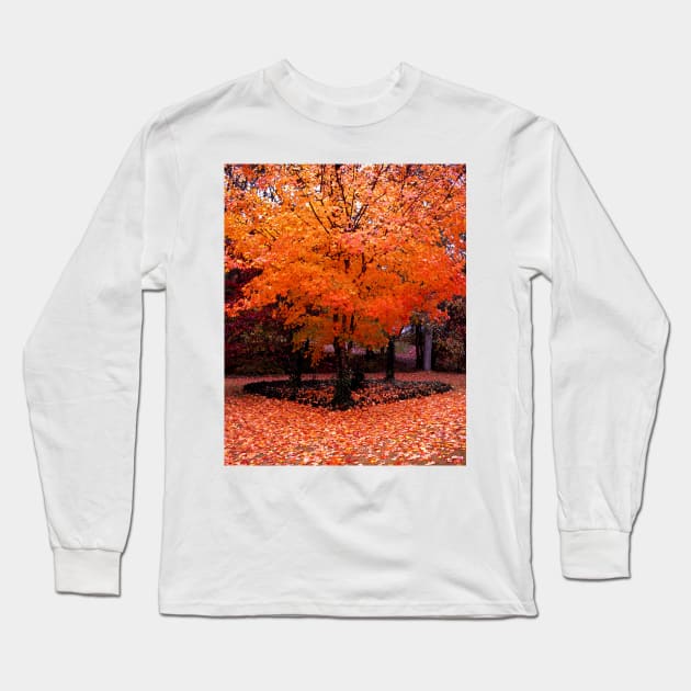 Autumn Spirits Long Sleeve T-Shirt by Rodwilliams